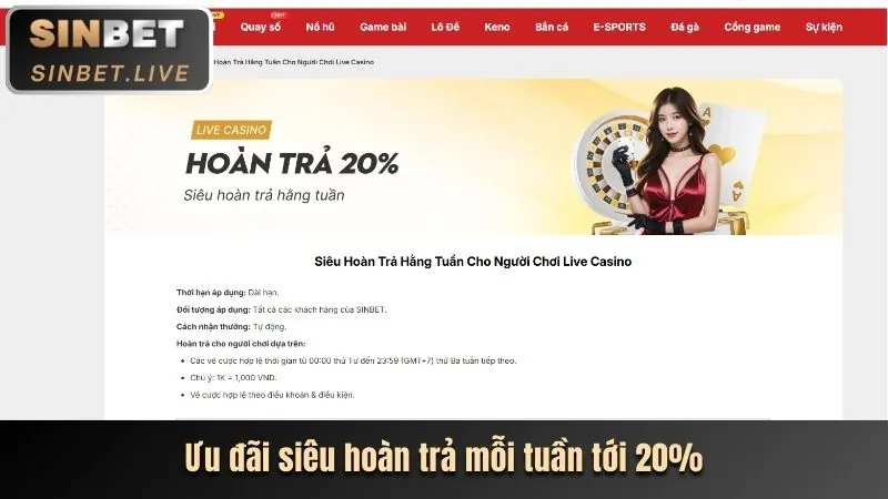 Minh bạch và công bằng go8 pub